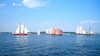 Singleborse fur schleswig-holstein