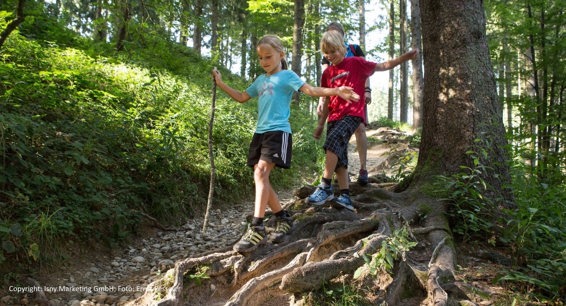 Familienwandern in Isny auf Wurzelweg am Schwarzen Grat, Adelegg