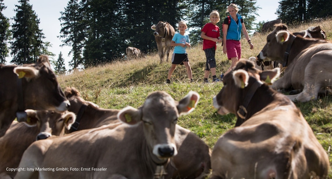 Familienwandern in Isny, Adelegg