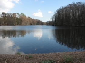 Der Gothensee auf Usedom