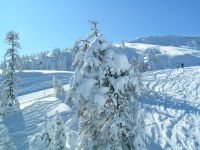 Skigebiet Kühtai