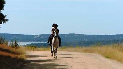 Ferienwohnungen Ferienhauser In Madrid Mieten